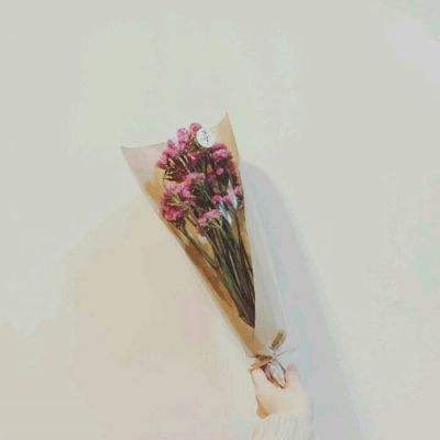 将与姬手机版下载